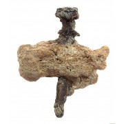 Crucified Heel Bone