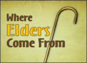 Where-Elders-Come-From-Pict-2-300x220.png