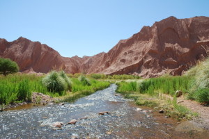 river-in-the-desert