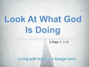 Slide11-300x225.jpg