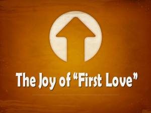 The-Joy-of-First-Love-Pict-1-300x225.jpg