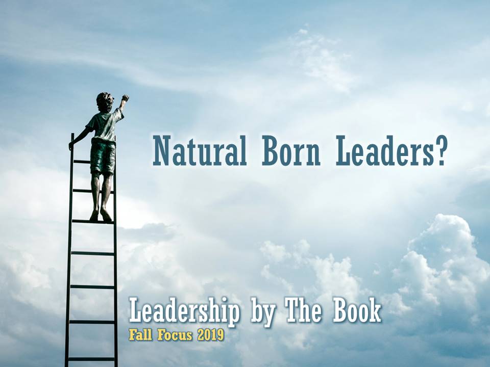 Natural Born Leaders? – Focus Online